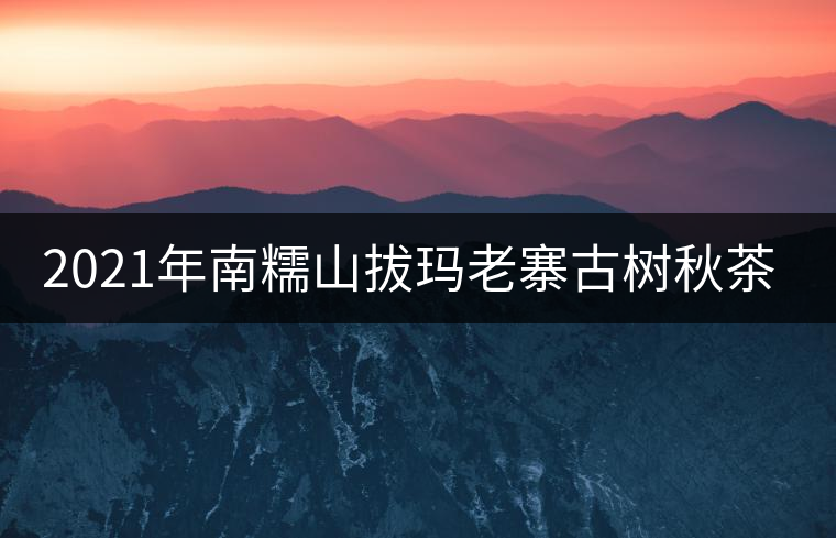 2021年南糯山拔瑪老寨古樹秋茶價格？