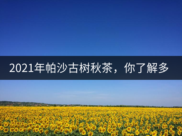 2021年帕沙古樹秋茶，你了解多少？