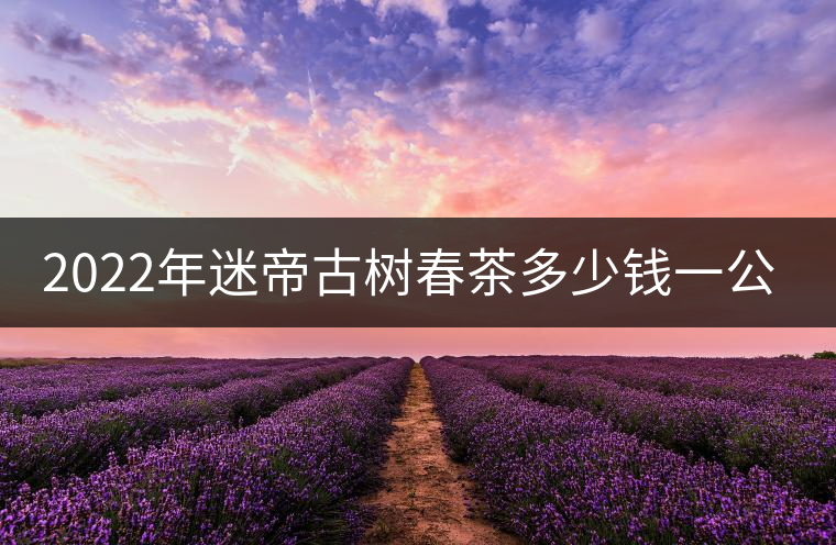 2022年迷帝古樹(shù)春茶多少錢(qián)一公斤？