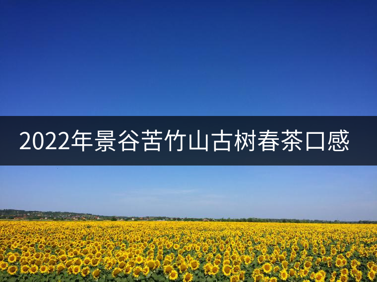 2022年景谷苦竹山古樹(shù)春茶口感？