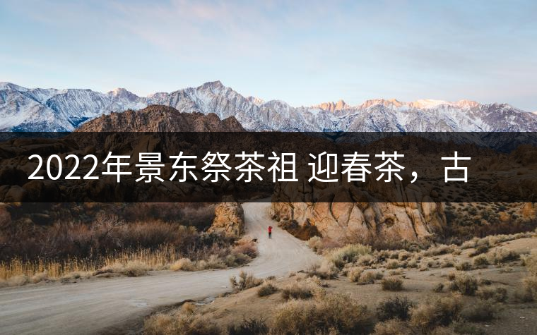 2022年景東祭茶祖 迎春茶，古樹春茶多少錢一公斤？