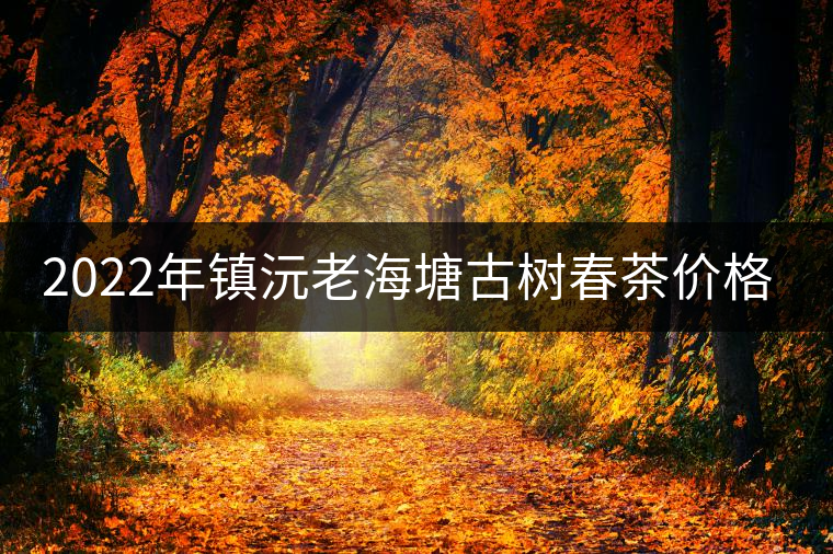 2022年鎮(zhèn)沅老海塘古樹春茶價(jià)格？