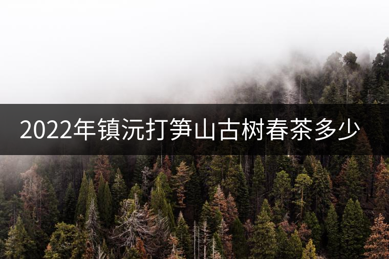2022年鎮(zhèn)沅打筍山古樹春茶多少錢一公斤？