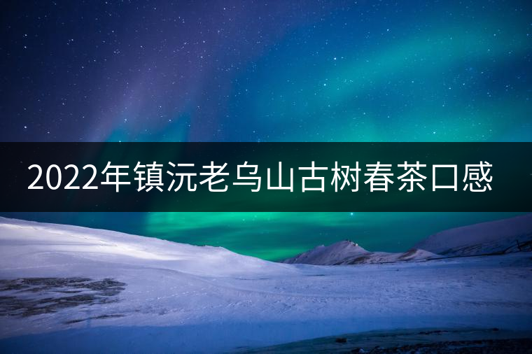 2022年鎮(zhèn)沅老烏山古樹春茶口感？