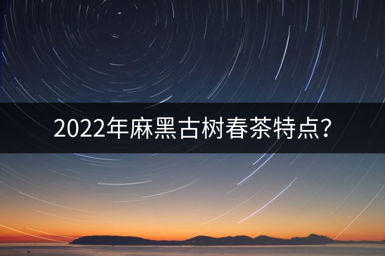2022年麻黑古樹春茶特點(diǎn)？
