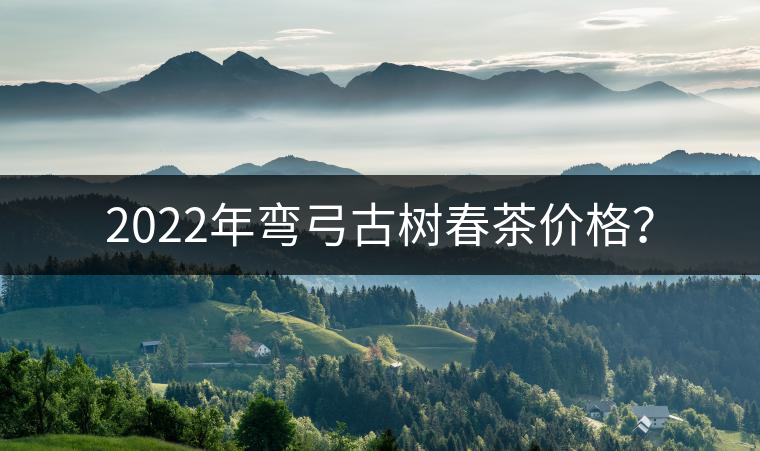 2022年彎弓古樹春茶價格？