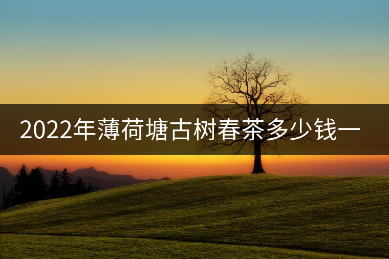 2022年薄荷塘古樹(shù)春茶多少錢(qián)一公斤？