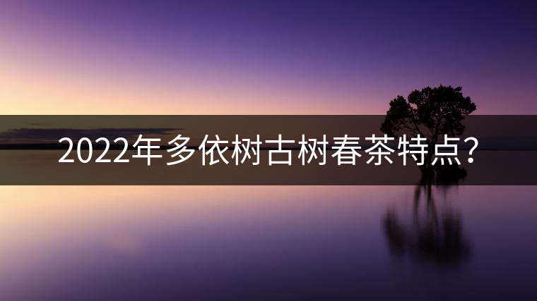 2022年多依樹古樹春茶特點(diǎn)？