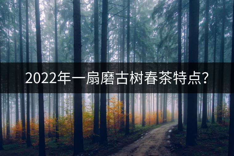 2022年一扇磨古樹春茶特點(diǎn)？