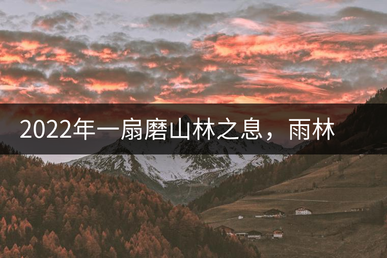 2022年一扇磨山林之息，雨林之味，原始之態(tài)