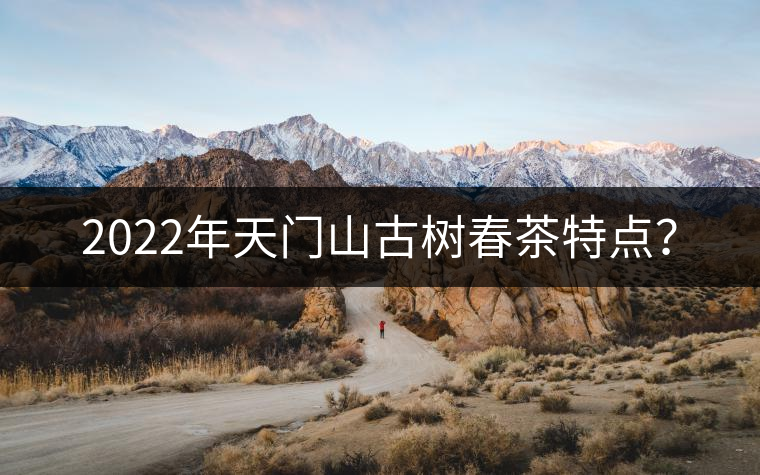 2022年天門山古樹春茶特點(diǎn)？