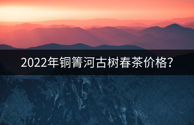 2022年銅箐河古樹春茶價格？