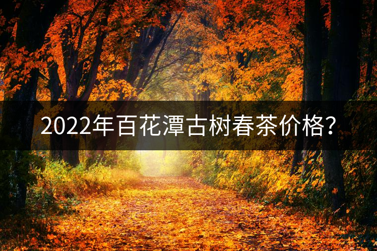 2022年百花潭古樹春茶價格? 2022年百花潭古樹春茶價格?