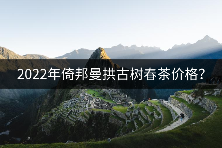 2022年倚邦曼拱古樹春茶價格？