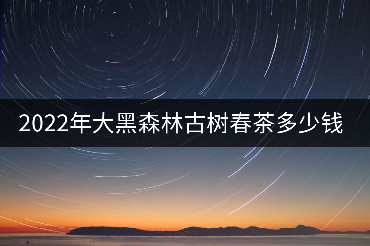 2022年大黑森林古樹春茶多少錢一公斤？