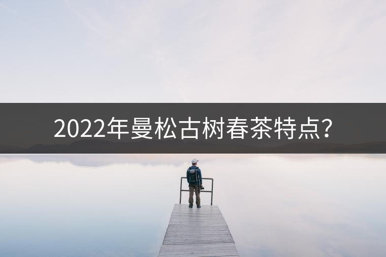 2022年曼松古樹(shù)春茶特點(diǎn)？