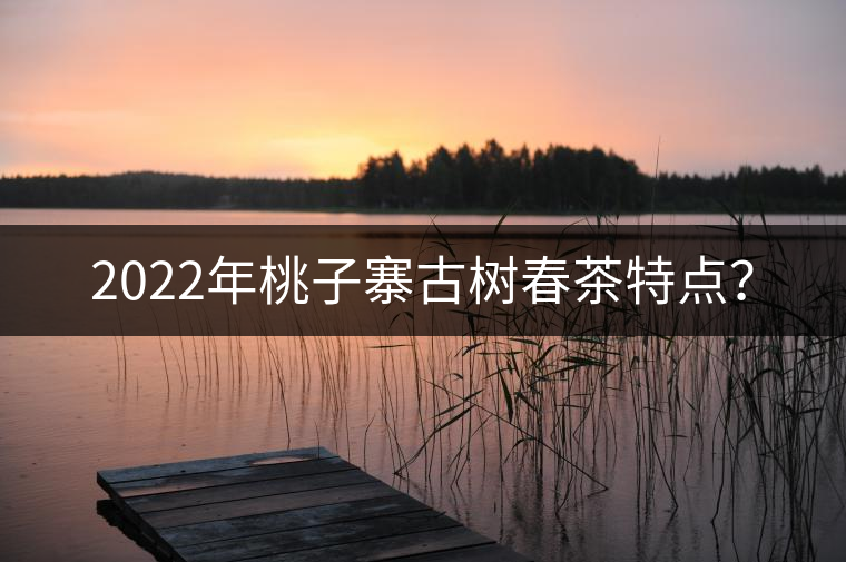 2022年桃子寨古樹春茶特點？