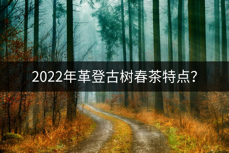 2022年革登古樹春茶特點(diǎn)？