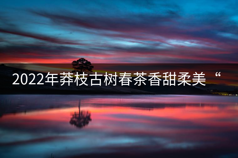 2022年莽枝古樹春茶香甜柔美“女兒茶” 2022年莽枝古樹春茶香甜柔美“女兒茶”