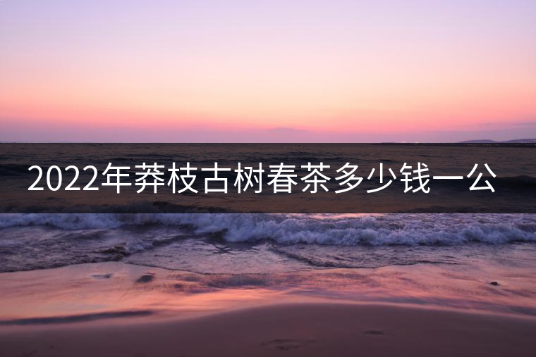 2022年莽枝古樹(shù)春茶多少錢一公斤？