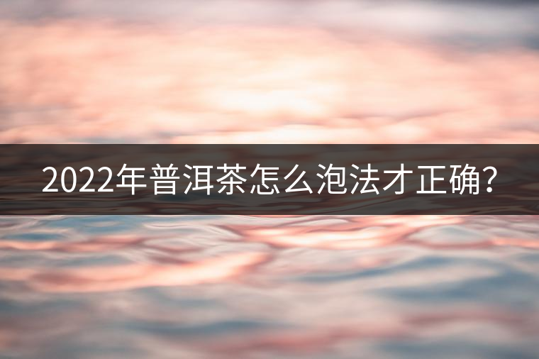 2022年普洱茶怎么泡法才正確？