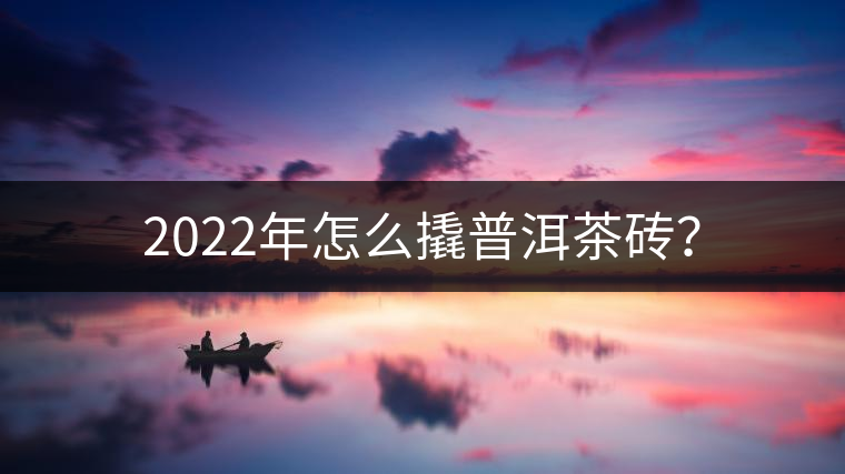 2022年怎么撬普洱茶磚？