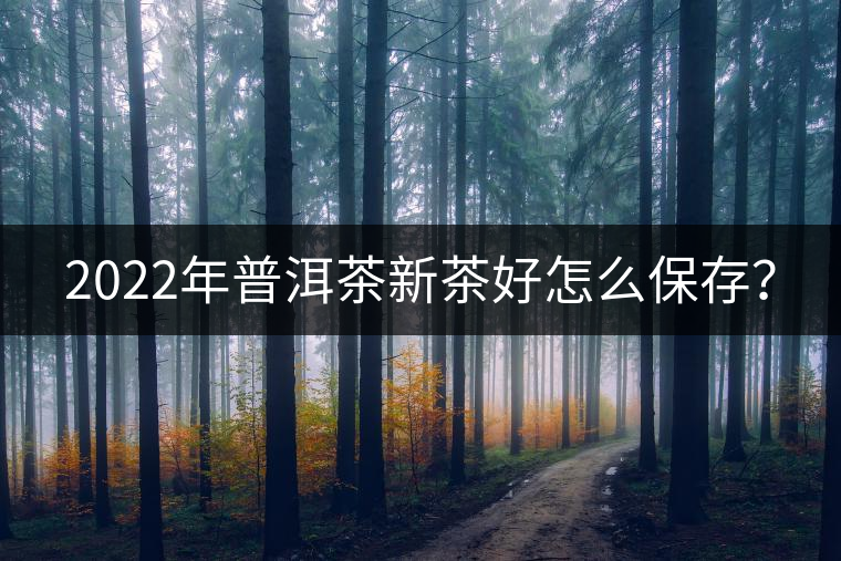 2022年普洱茶新茶好怎么保存？