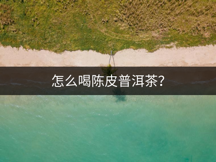 怎么喝陳皮普洱茶？