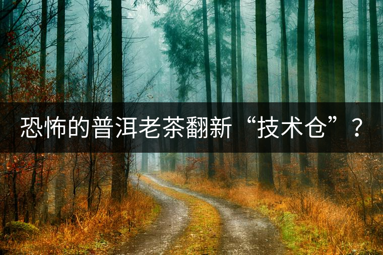 恐怖的普洱老茶翻新“技術(shù)倉”？