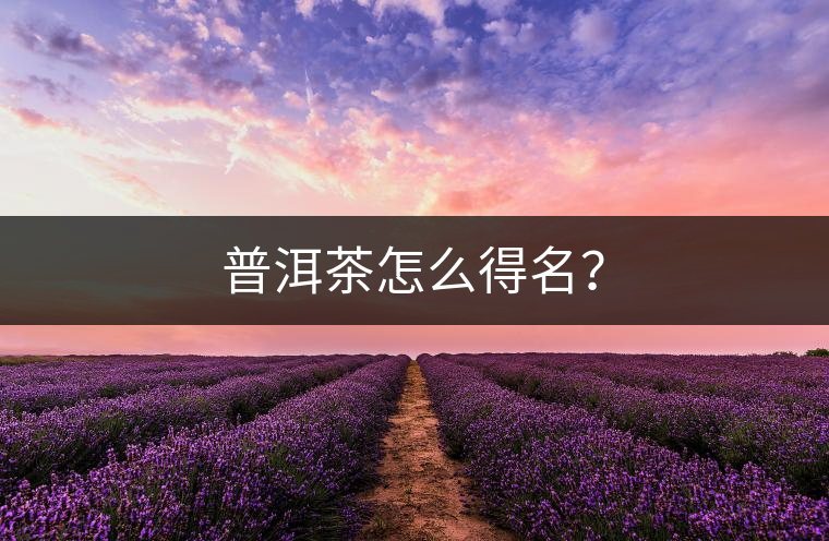 普洱茶怎么得名？