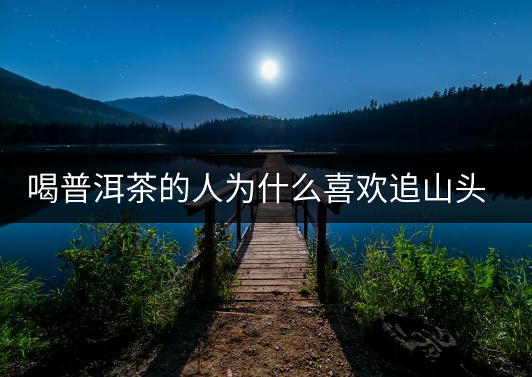 喝普洱茶的人為什么喜歡追山頭？無非就是這幾個原因