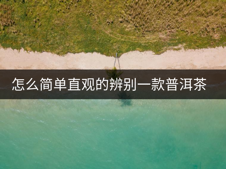 怎么簡(jiǎn)單直觀的辨別一款普洱茶的優(yōu)劣? 怎么簡(jiǎn)單直觀的辨別一款普洱茶的優(yōu)劣?