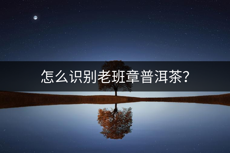 怎么識別老班章普洱茶？