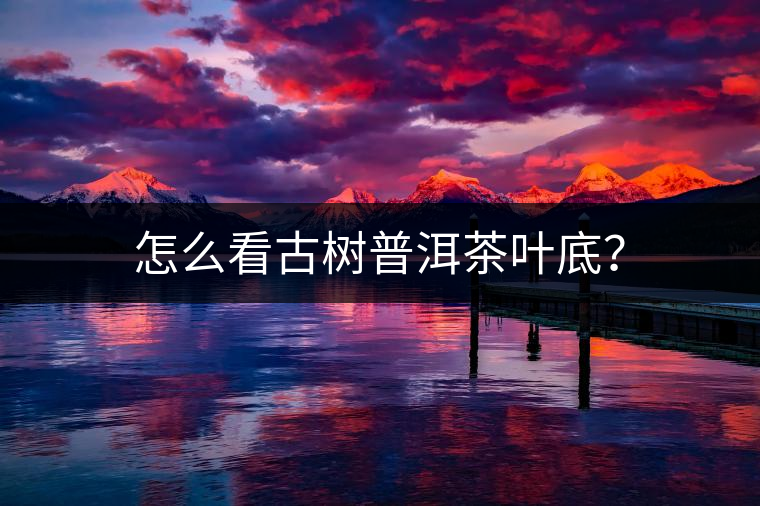 怎么看古樹(shù)普洱茶葉底？