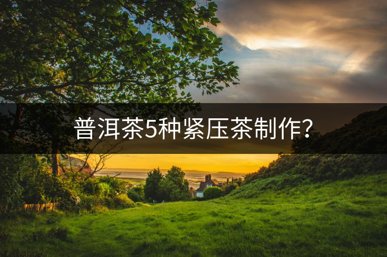 普洱茶5種緊壓茶制作？