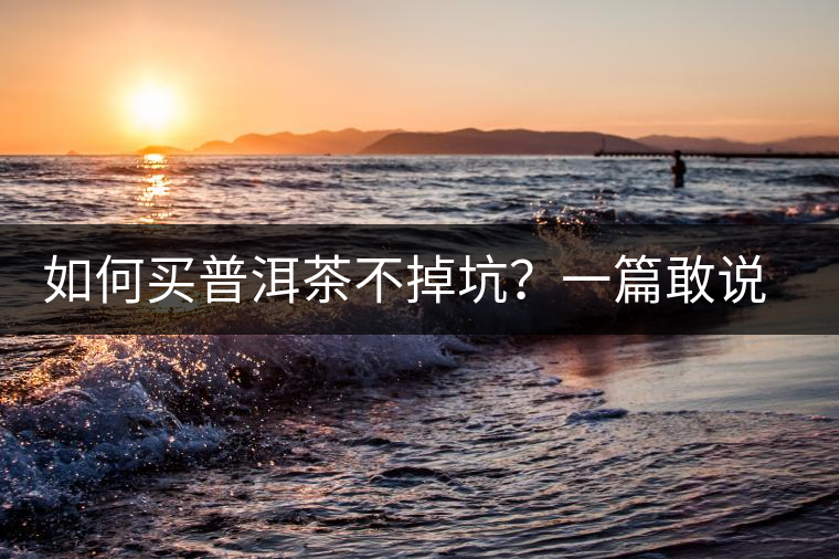 如何買普洱茶不掉坑？一篇敢說真話的良心之作。