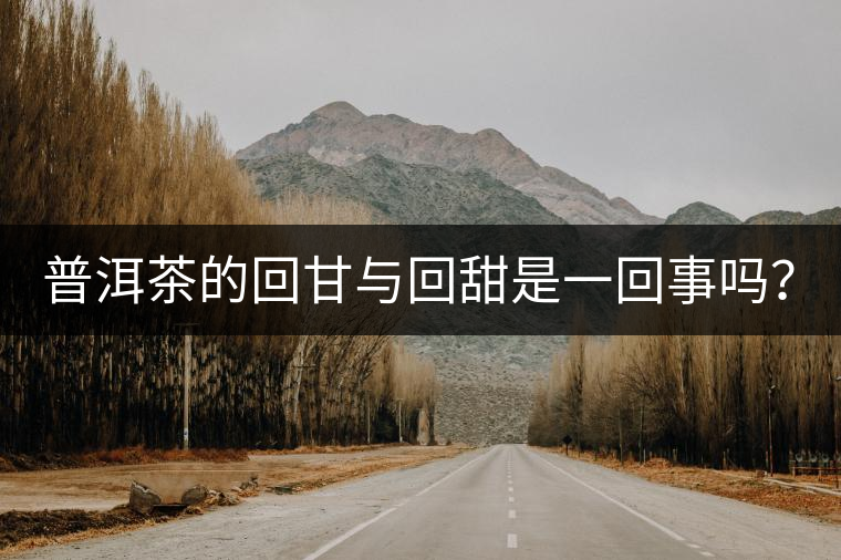 普洱茶的回甘與回甜是一回事嗎？？