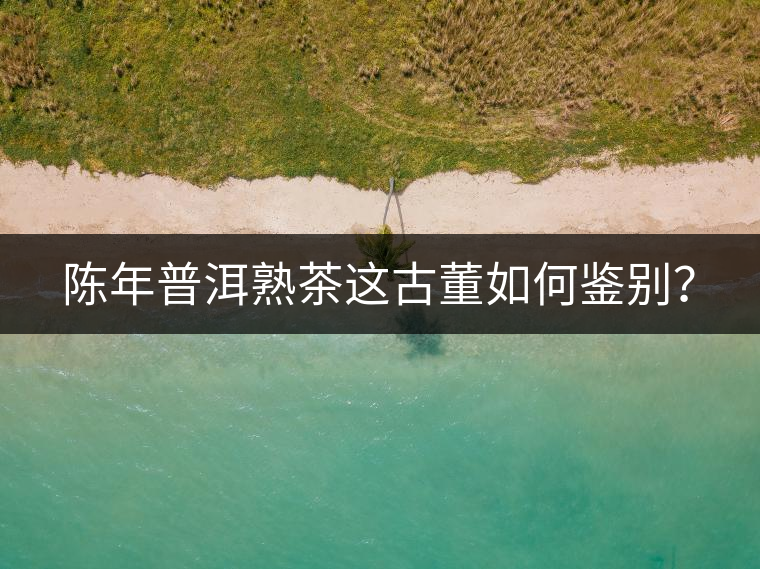 陳年普洱熟茶這古董如何鑒別？