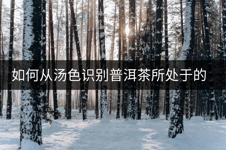 如何從湯色識別普洱茶所處于的轉(zhuǎn)化期？