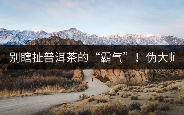 別瞎扯普洱茶的“霸氣”！偽大師！