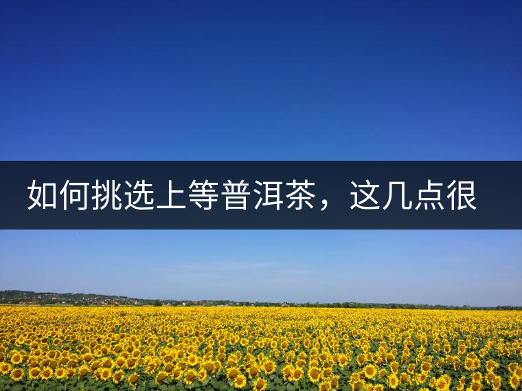 如何挑選上等普洱茶，這幾點(diǎn)很關(guān)鍵