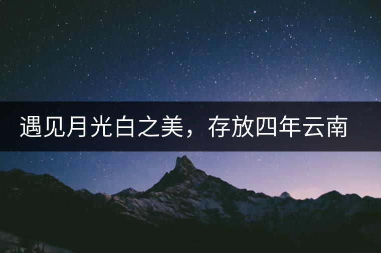 遇見月光白之美，存放四年云南古樹白茶