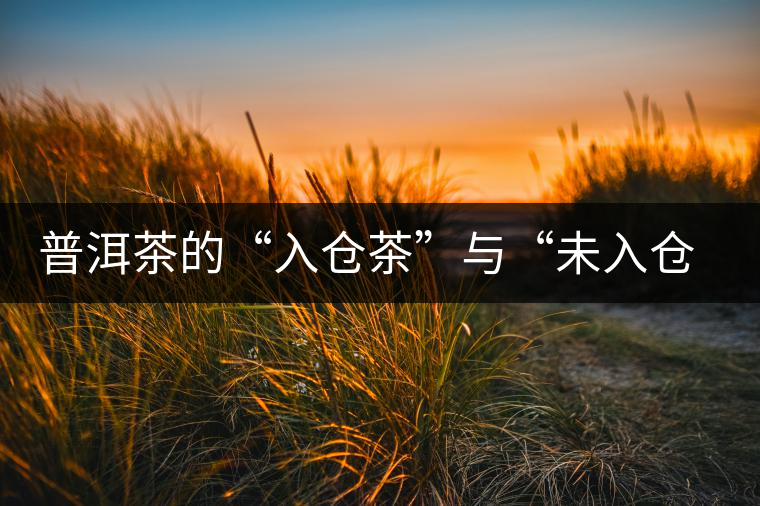 普洱茶的“入倉茶”與“未入倉茶”如何區(qū)分，你造嗎？