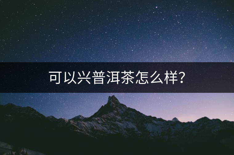 可以興普洱茶怎么樣？