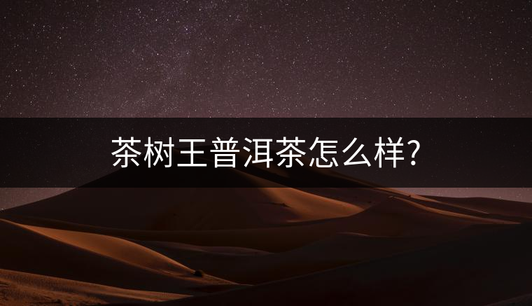 茶樹(shù)王普洱茶怎么樣? 茶樹(shù)王普洱茶怎么樣?