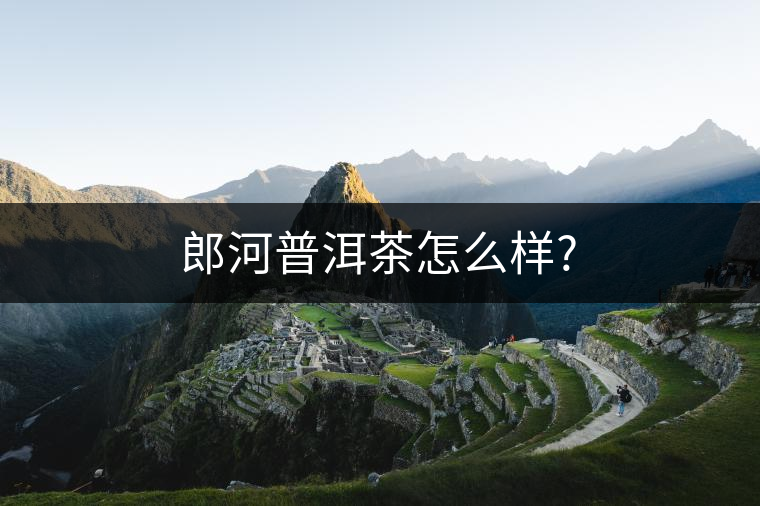 郎河普洱茶怎么樣?