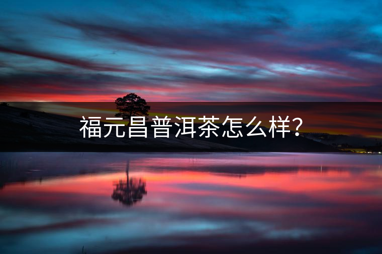 福元昌普洱茶怎么樣？