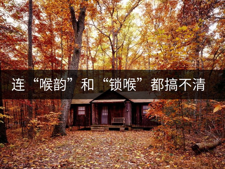 連“喉韻”和“鎖喉”都搞不清楚，就不要說懂普洱茶！