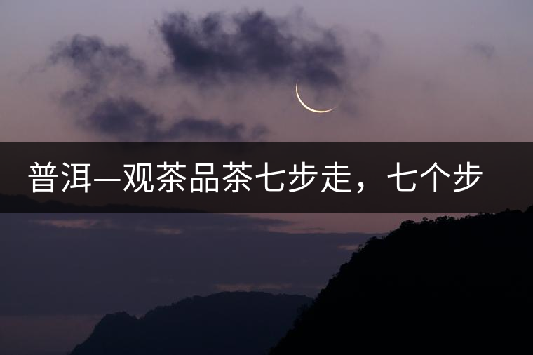 普洱—觀茶品茶七步走，七個步驟，喝懂普洱茶