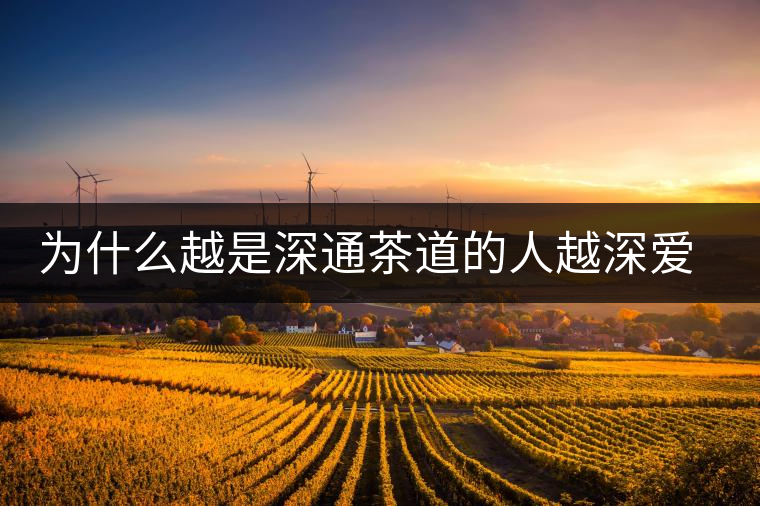 為什么越是深通茶道的人越深愛普洱茶？喜歡普洱茶，有三個(gè)原因。